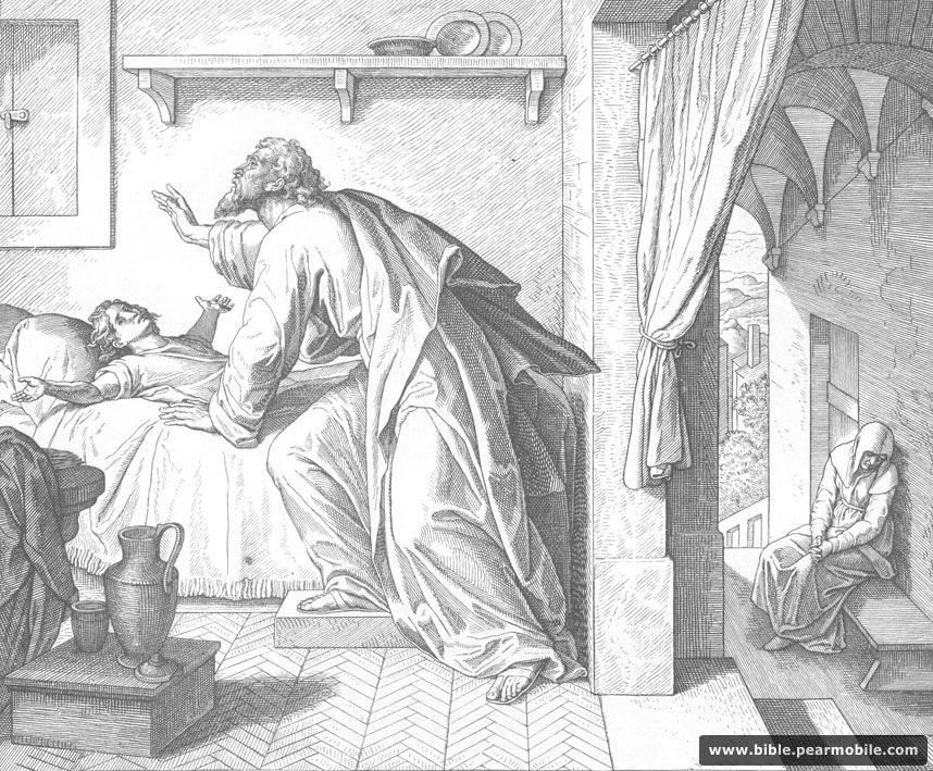 Fyrri konungabók 17:22 - Elijah Raises Widow\'s Son